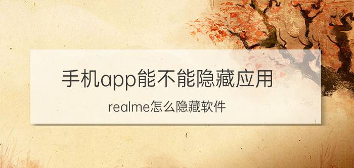 手机app能不能隐藏应用 realme怎么隐藏软件？